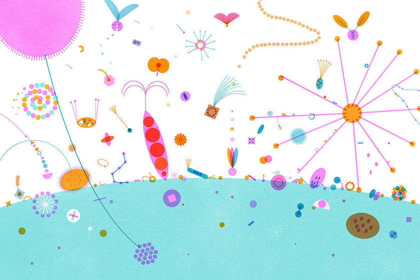 博洛尼亚_2 博洛尼亚_2