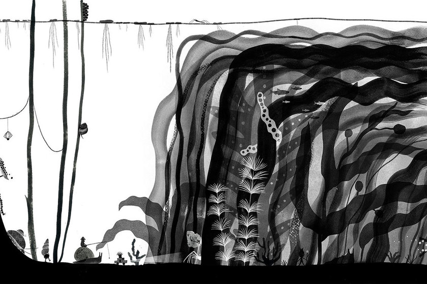 其他作品_Ponds1 其他作品_Ponds1