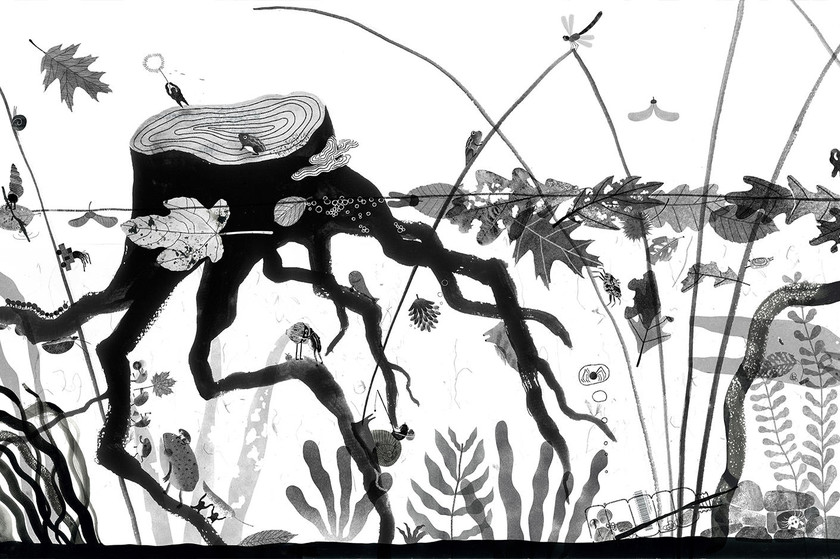 其他作品_Ponds2 其他作品_Ponds2