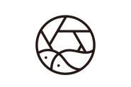 你的段落文字 (20)