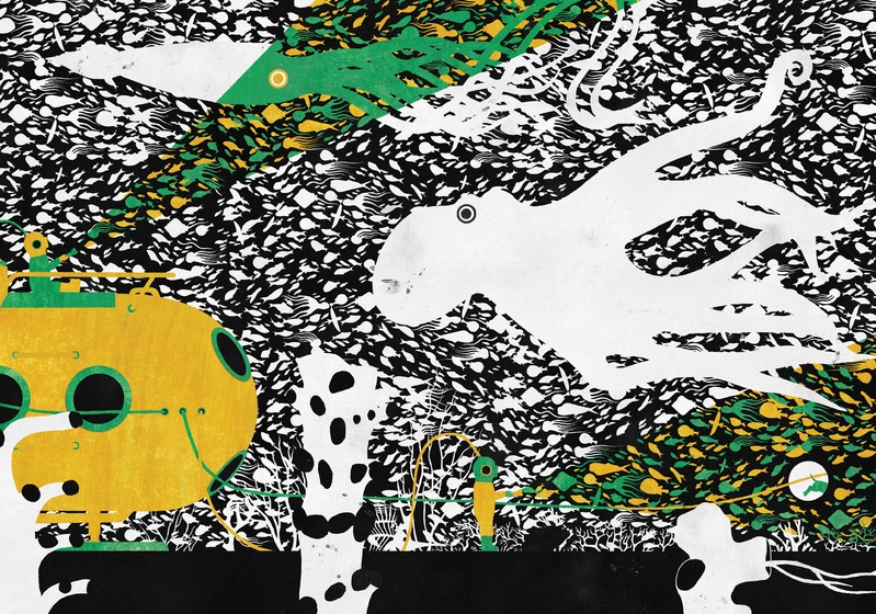 2017年金风车出版社选择奖获奖作品Dale Blankenaar《The Divers》