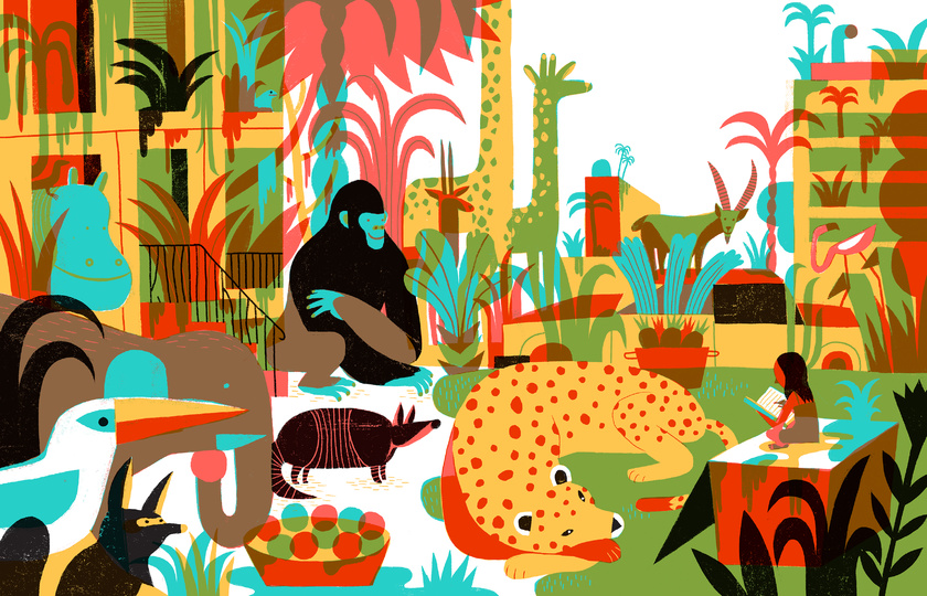 2017年金风车国际金奖获奖作品Joan Fernandez Vicente《Animal City》