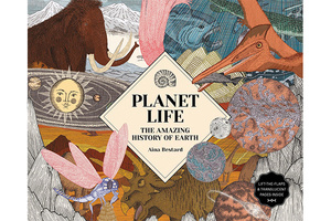 Planet Life The Amazing History of Earth