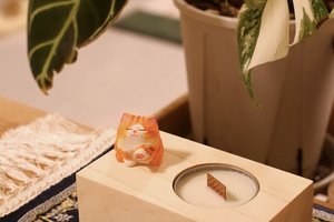 195003601cca1df4f6d6aa4de67ed78b_200000618