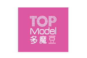 深圳市汉思杰贸易有限公司